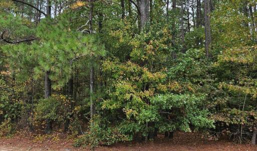 PIC of Road Ft LAND 20251021_171720