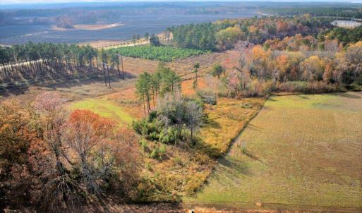 07-DJI_20251108135259_0236_D