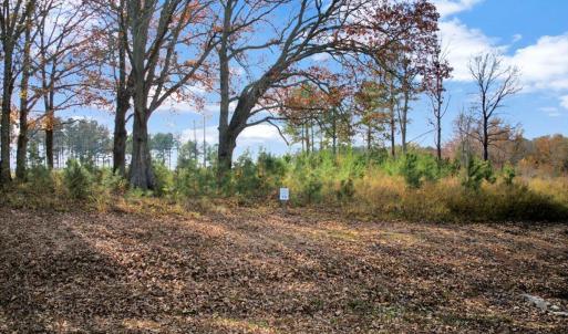 10-DJI_20251108135518_0251_D