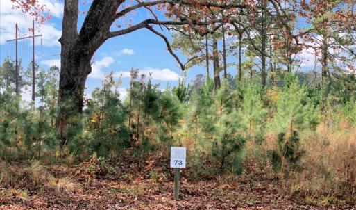 11-DJI_20251108135530_0256_D