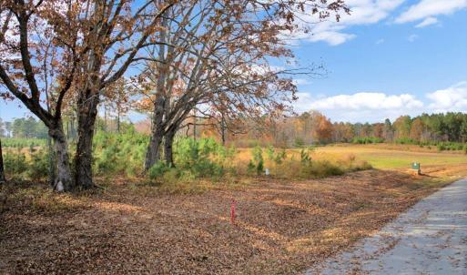 12-DJI_20251108135600_0261_D