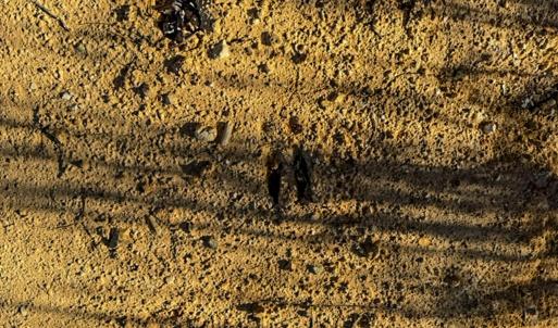 08AA5CFF-BE08-4EF8-9460-61CA4A58557B_1_1