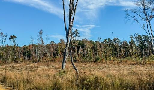D7715835-EEA9-43DF-88C1-63274AF8914B_1_1
