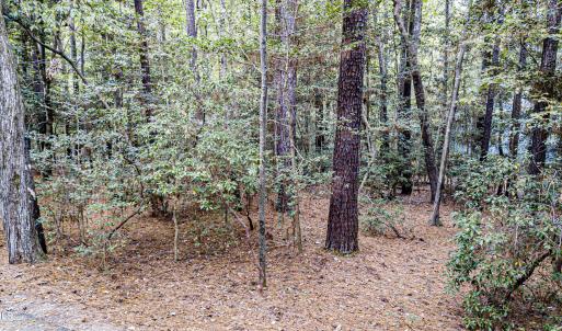 California Place Street Shot