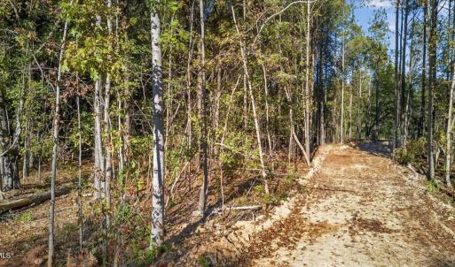 09-020_DJI_20251017162525_0718_D