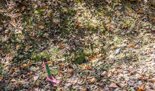 17-017-Chatham-Parcel-76369-76374-202510