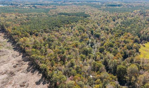 9-web-or-mls-DJI_20251024124746_0617_D