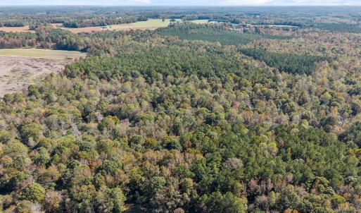 8-web-or-mls-DJI_20251024124604_0614_D