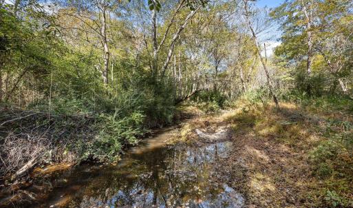 14-web-or-mls-IMG_2561