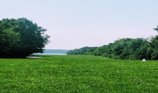 IMG_20190629_103254_1_768x576