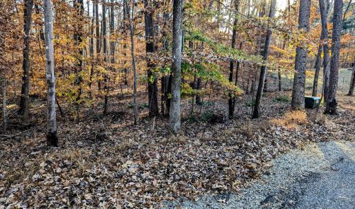 PXL_20241205_203117315~2