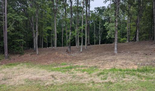 PXL_20250527_123301133