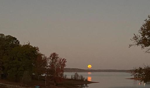 43-web-or-mls-4077785459864088088