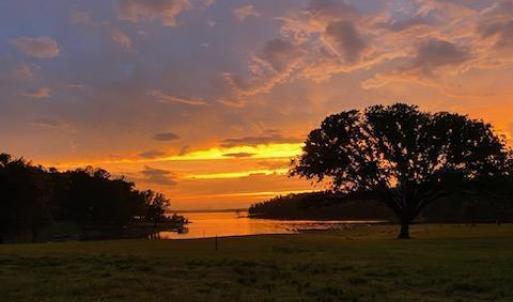 47-web-or-mls--2968379941529439601