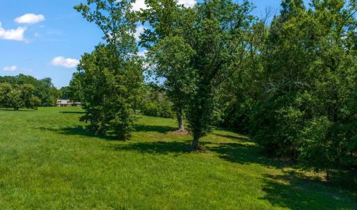 3-web-or-mls-untitled-10