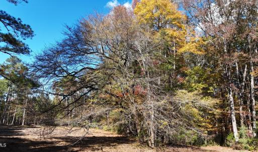 DJI_20251031135241_0160_D