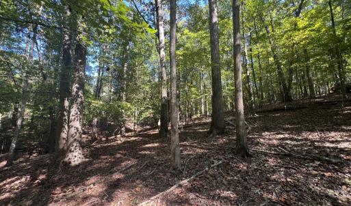 9_photo--gallup-road