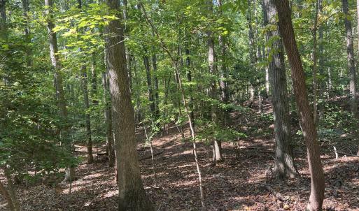 10_photo--gallup-road