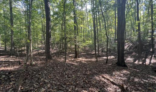 11_photo--gallup-road