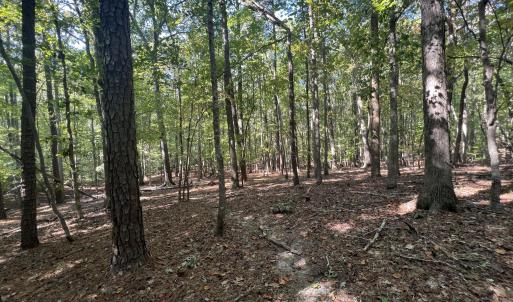 12_photo--gallup-road