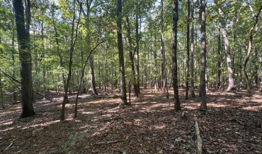 13_photo--gallup-road