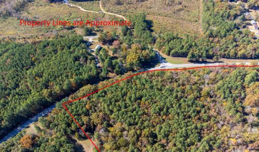 7-web-or-mls-0-nc-39