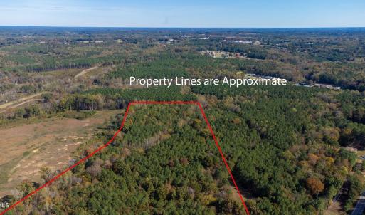 11-web-or-mls-0-nc-39