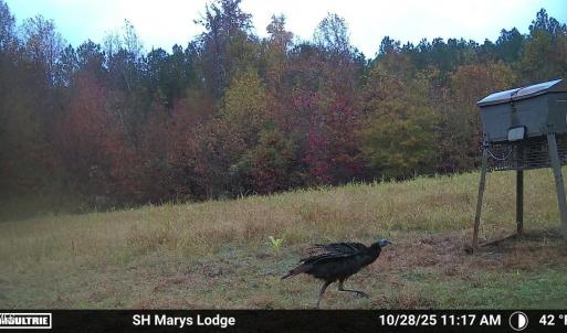 ME390d4a2bb0d1051c888f867934282be2