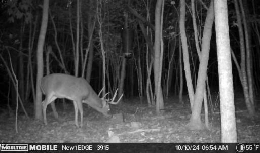 MEc399374c94740e767f82675f8d3d8138