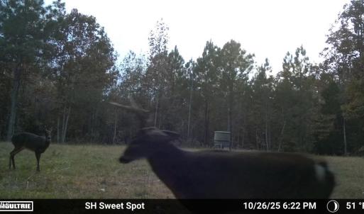 MEd23adc8c30a93e4901a9482d68eaacba