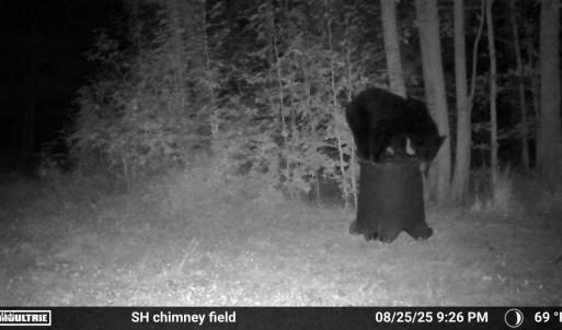 MEab1f9c8cd31de065fe4db4addbb461b2