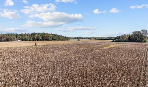 16-web-or-mls-DJI_20251024135645_0355_D