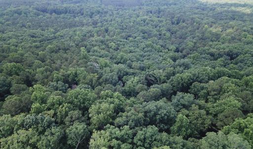 DJI_0346