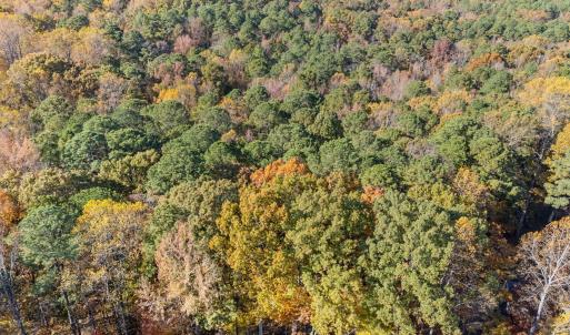 6-web-or-mls-DJI_20251106141438_0618_D