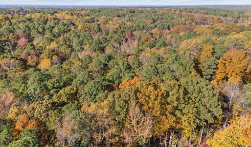 7-web-or-mls-DJI_20251106141456_0619_D