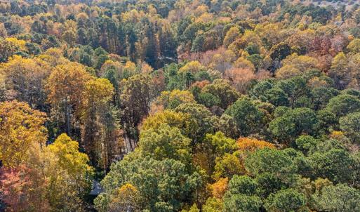 12-web-or-mls-DJI_20251106141700_0624_D