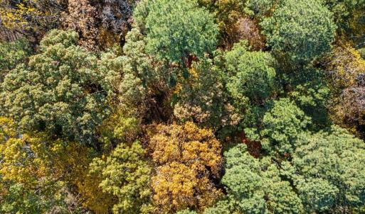 13-web-or-mls-DJI_20251106141747_0625_D