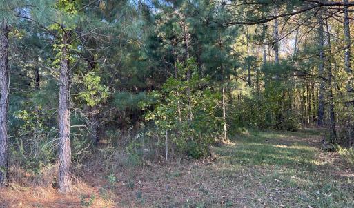 11_photo--rock-spring-church-road