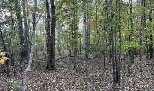 12_photo--rock-spring-church-road