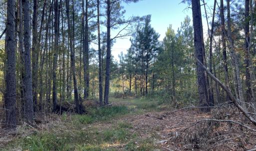 13_photo--rock-spring-church-road