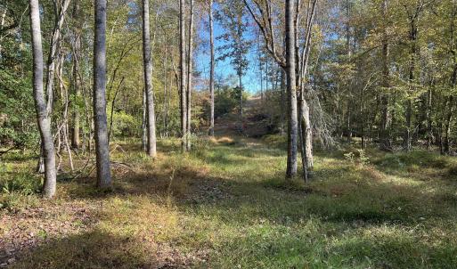 14_photo--rock-spring-church-road