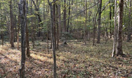 16_photo--rock-spring-church-road