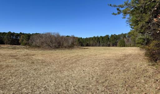 Hamlin Rd. - Field