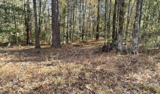 McNeill Image 3