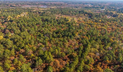 10-web-or-mls-DJI_20251105100248_0829_D