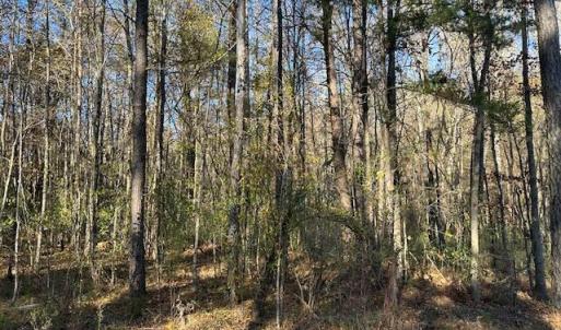 999 White Cross Rd - Photo 4