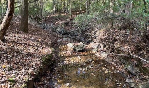 creek on rear border