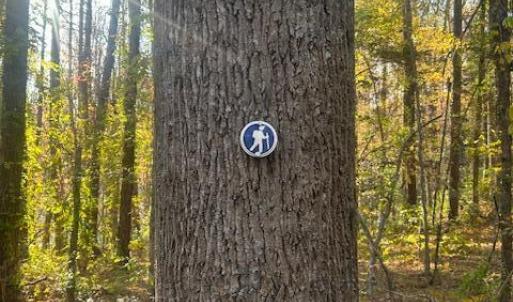 Hiking Trail to Haw River
