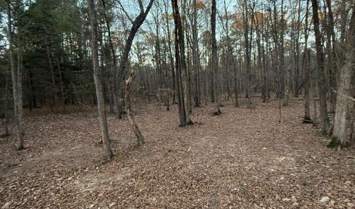 7c8f875d-adc2-4485-bd37-d4117db5b980