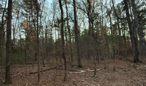 8fb0a8e7-0e22-4fa2-b6f1-ad92b1bbfb30